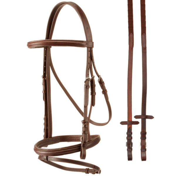 Briglia con frontalino