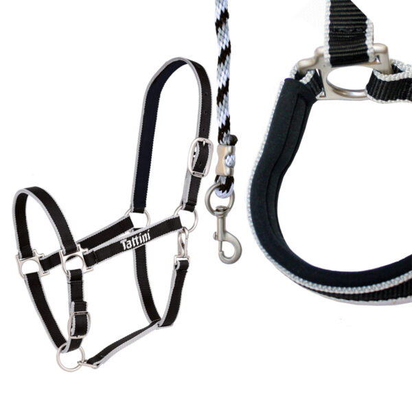 Capezza Tattini con imbottitura