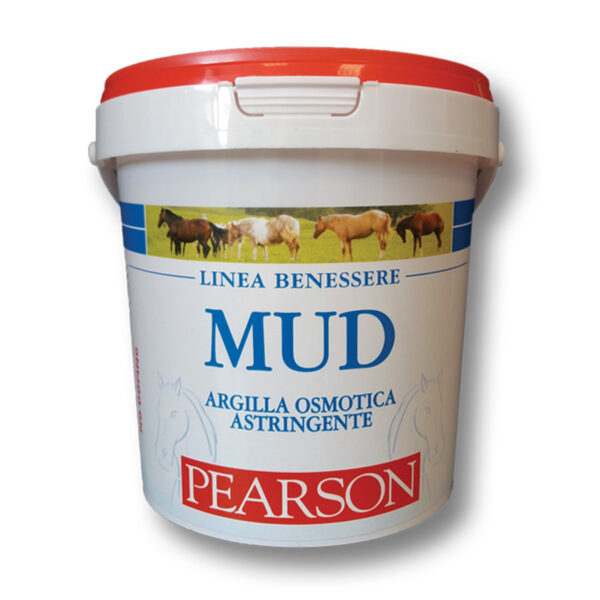 Pomata Mud argilla 3000gr